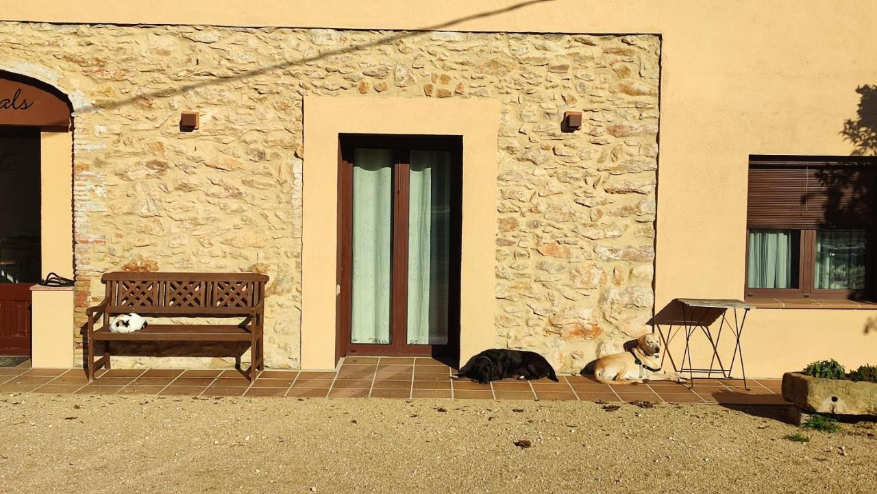 Can Costals Naturaleza Pals Buitenkant foto